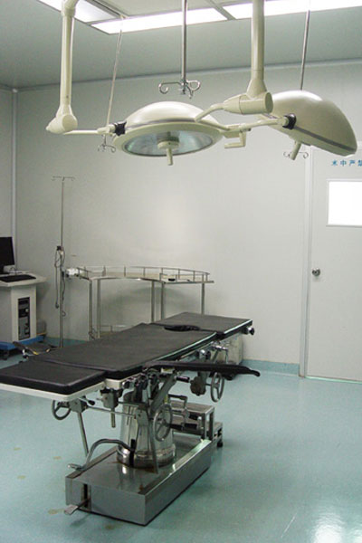 �����ʰ�ҽԺ����ʽ���Ĳ��������ң���ͨ��GB50333����2002��ҽԺ�ྻ���������������淶������ؼ�⡣�����ҿ��Կ�չ���ơ����ơ�������ơ�������ơ��ǿơ�����ơ�����ơ��۶��Ǻ��ơ�΢����Ƶ�������